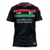 Camiseta de visitante del Club Deportivo Palestino 25-26