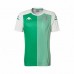 Camiseta corta de entrenamiento Real Betis verde 2020 2021